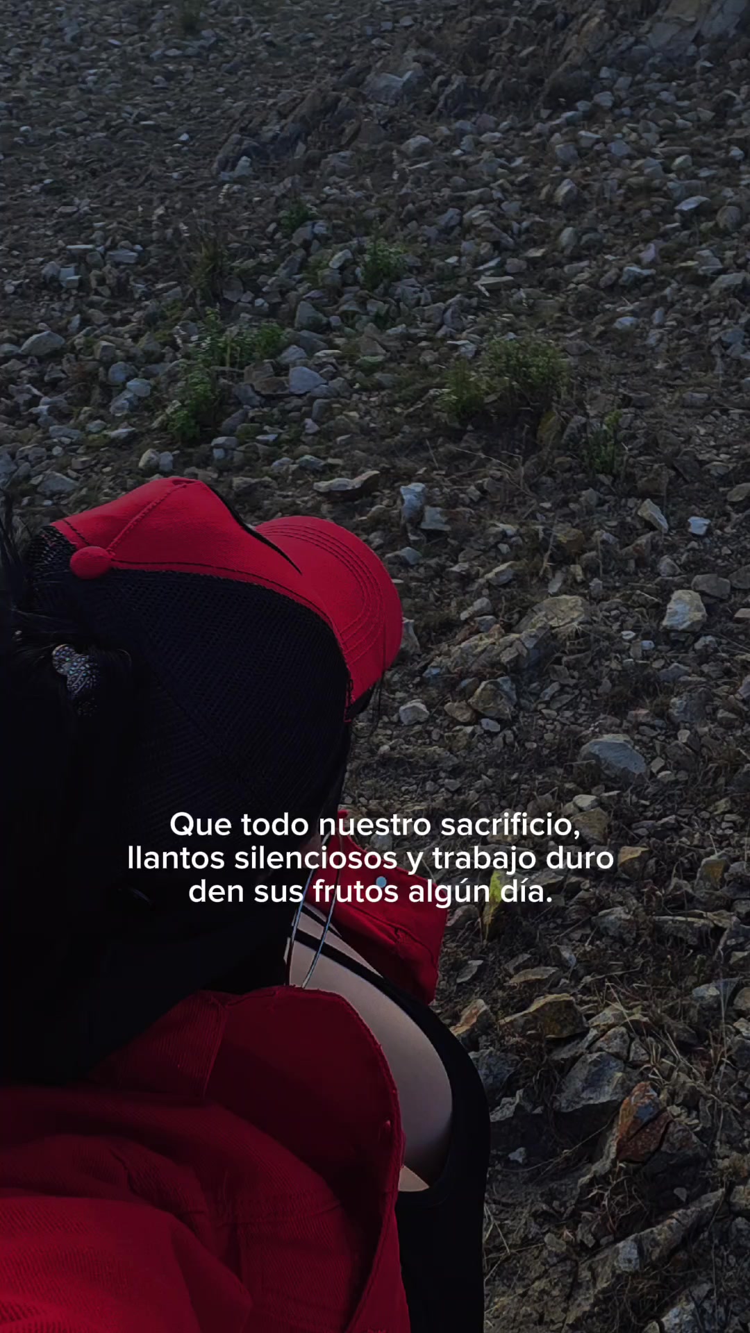 @viko