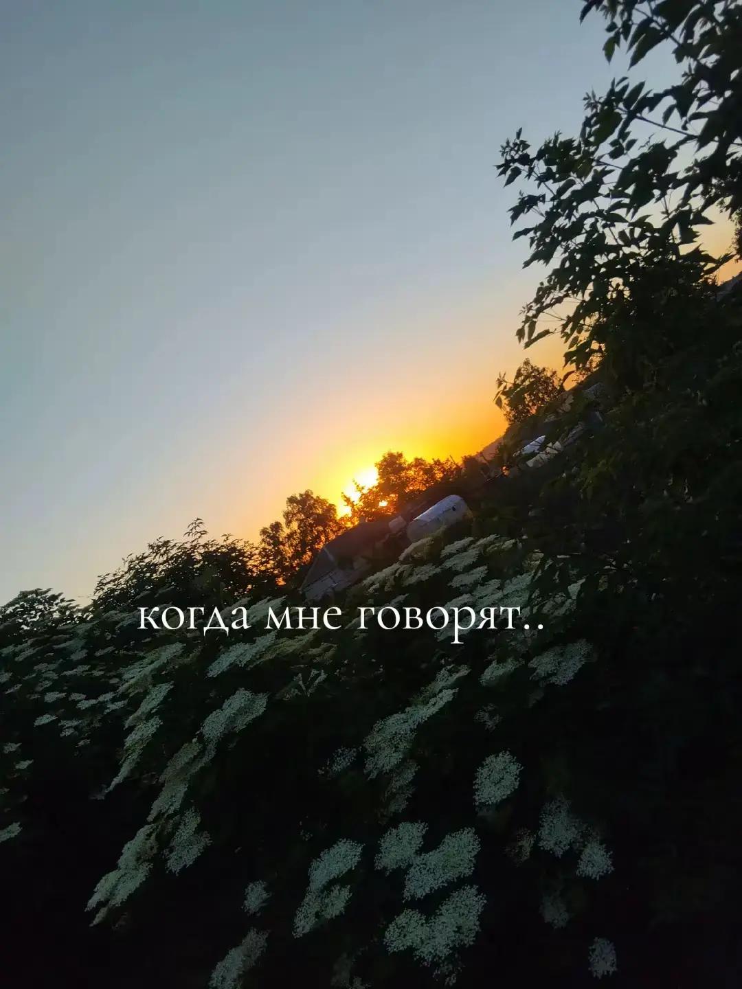 @𝒴𝓊𝓁ь𝒸𝒽𝒾𝓀