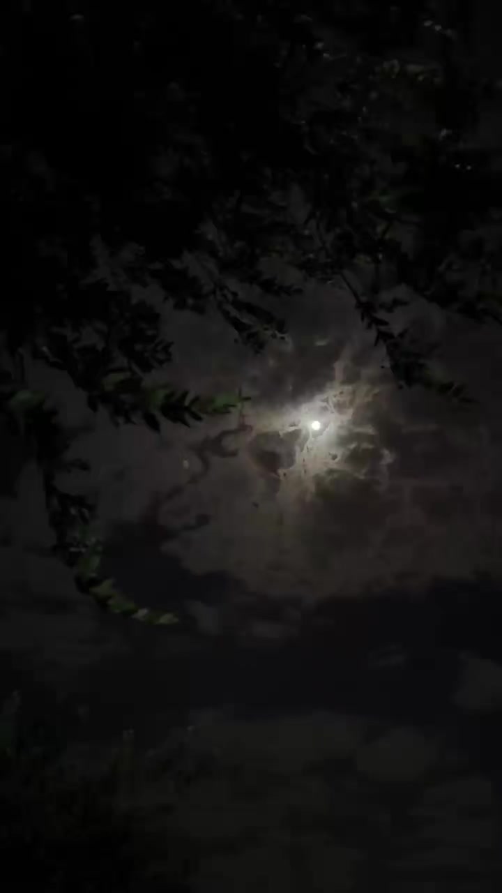 @𝓨𝓸𝓾𝓼𝓲𝓯  ོ ⠀