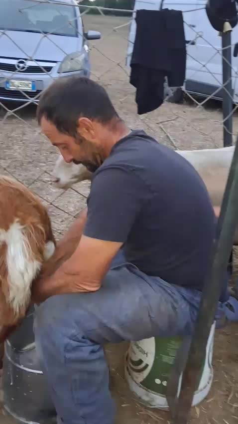 @Amato della vecchia
