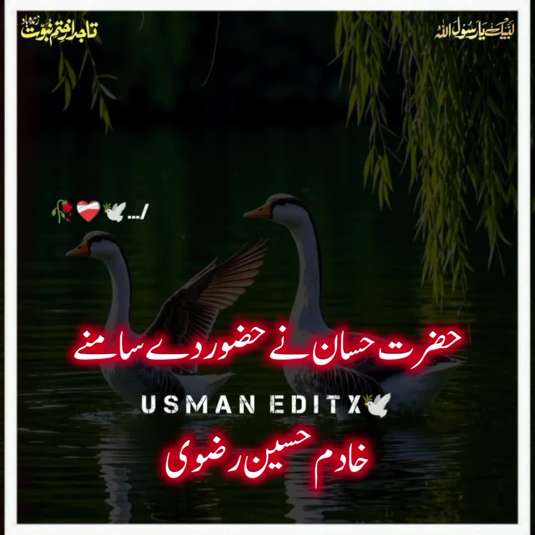 @سلطنت رضویہ 😍😍