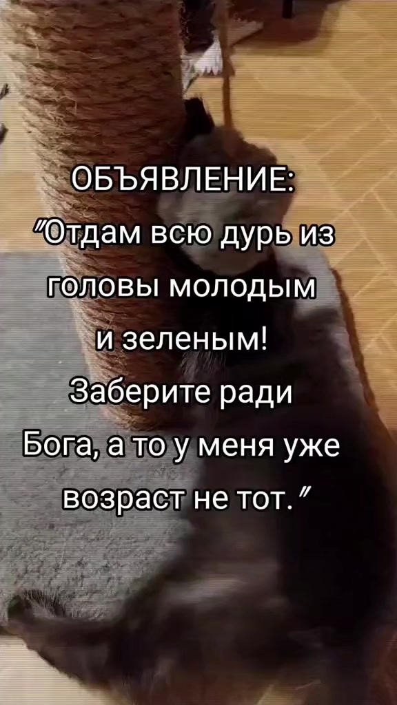 @Lesya Bronzova