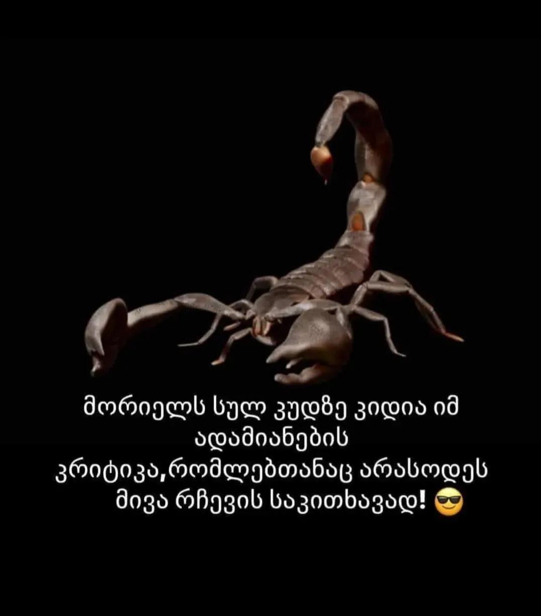 @🖤🦂🦂🦂🦂🖤