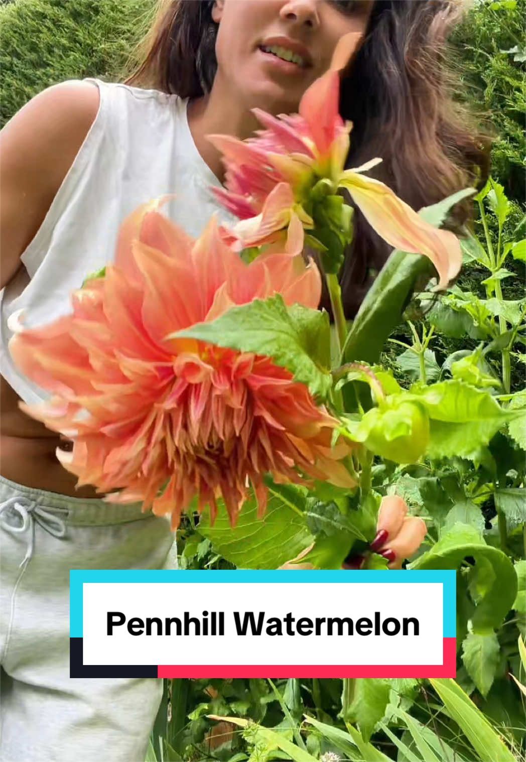 @Ava Dahlia 🇨🇦👩&zwj;🌾✌️