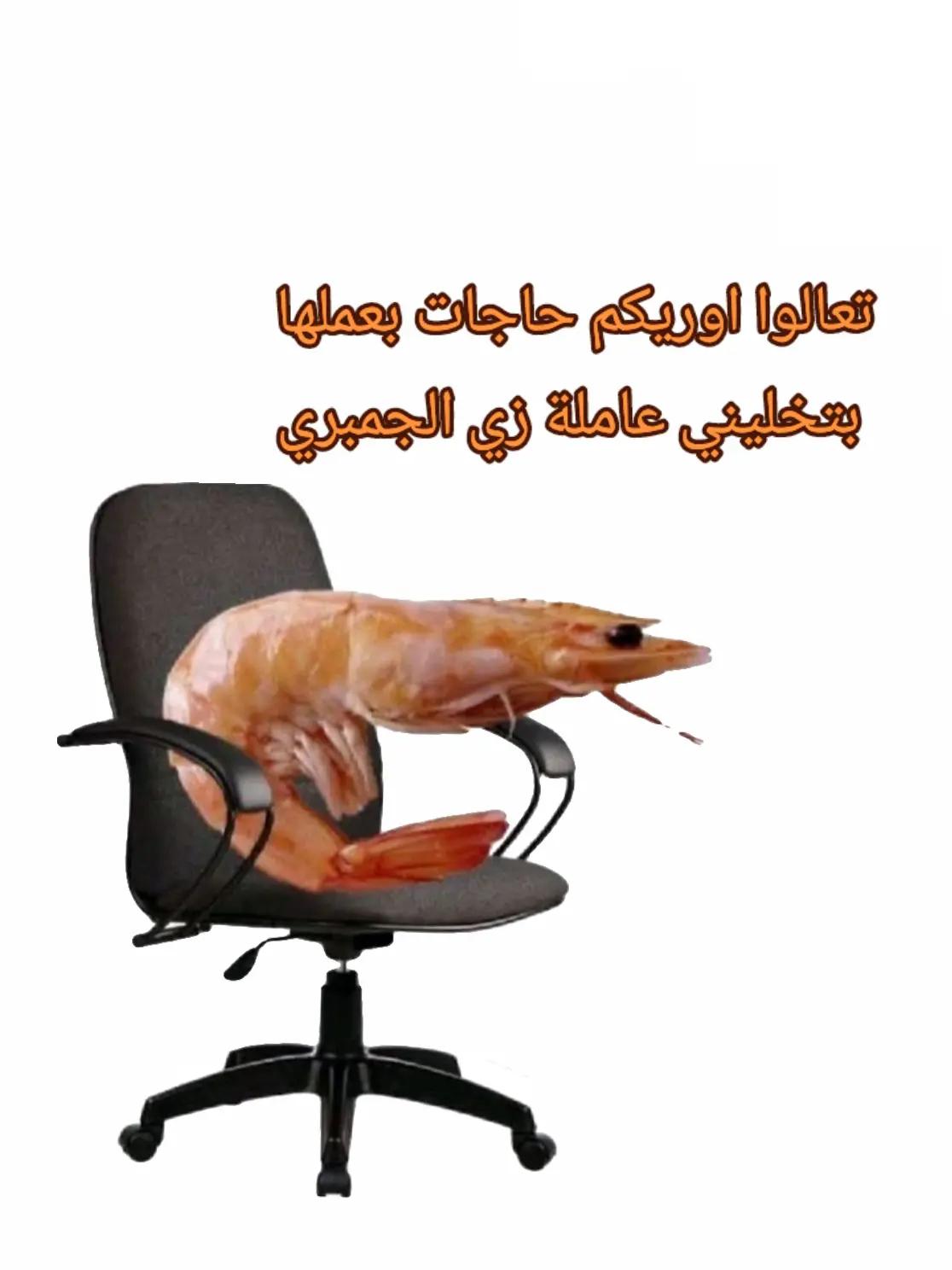 @𝙼𝚊𝚛𝚊𝚠𝚢'𝚜 𝙶𝚊𝚕𝚕𝚎𝚛𝚢
