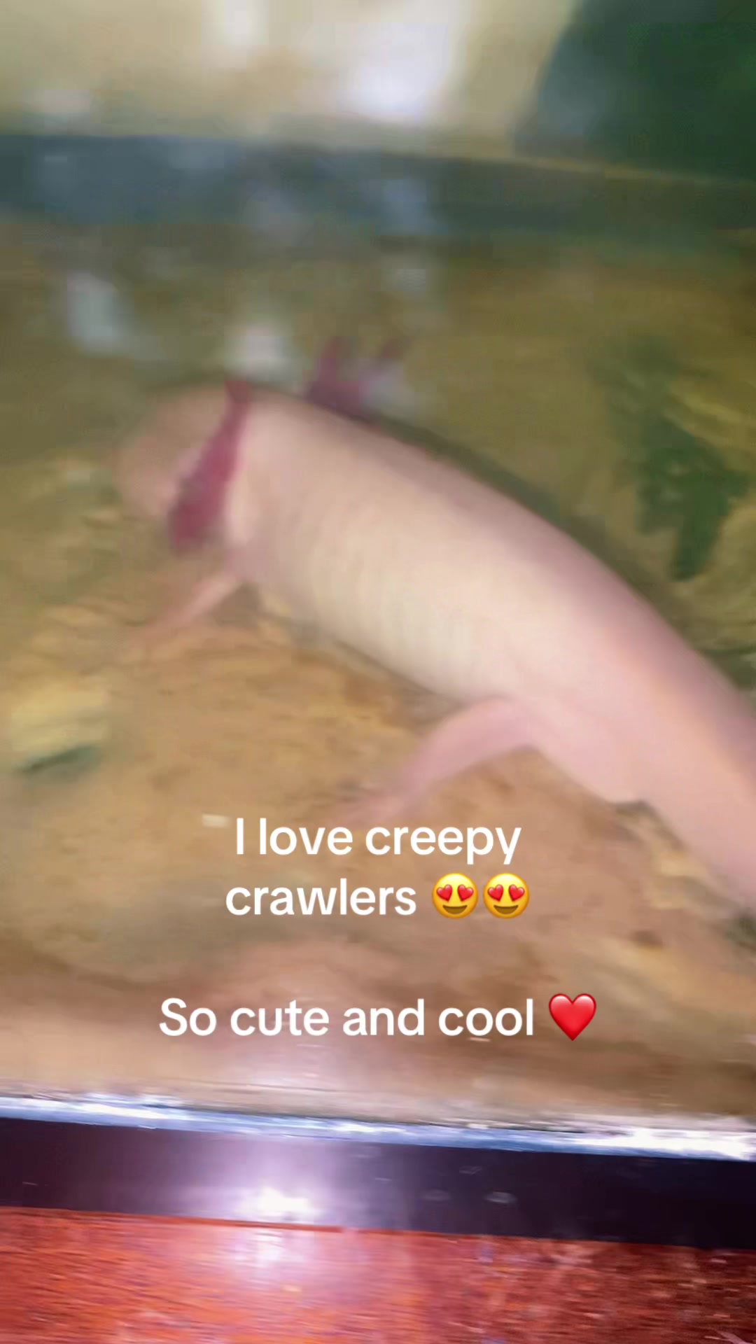 @Kaila Nicole