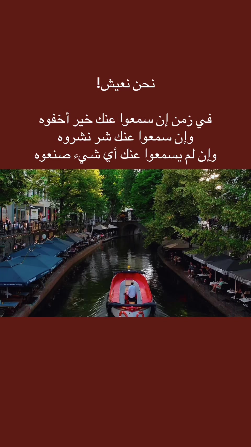 @المجتهد