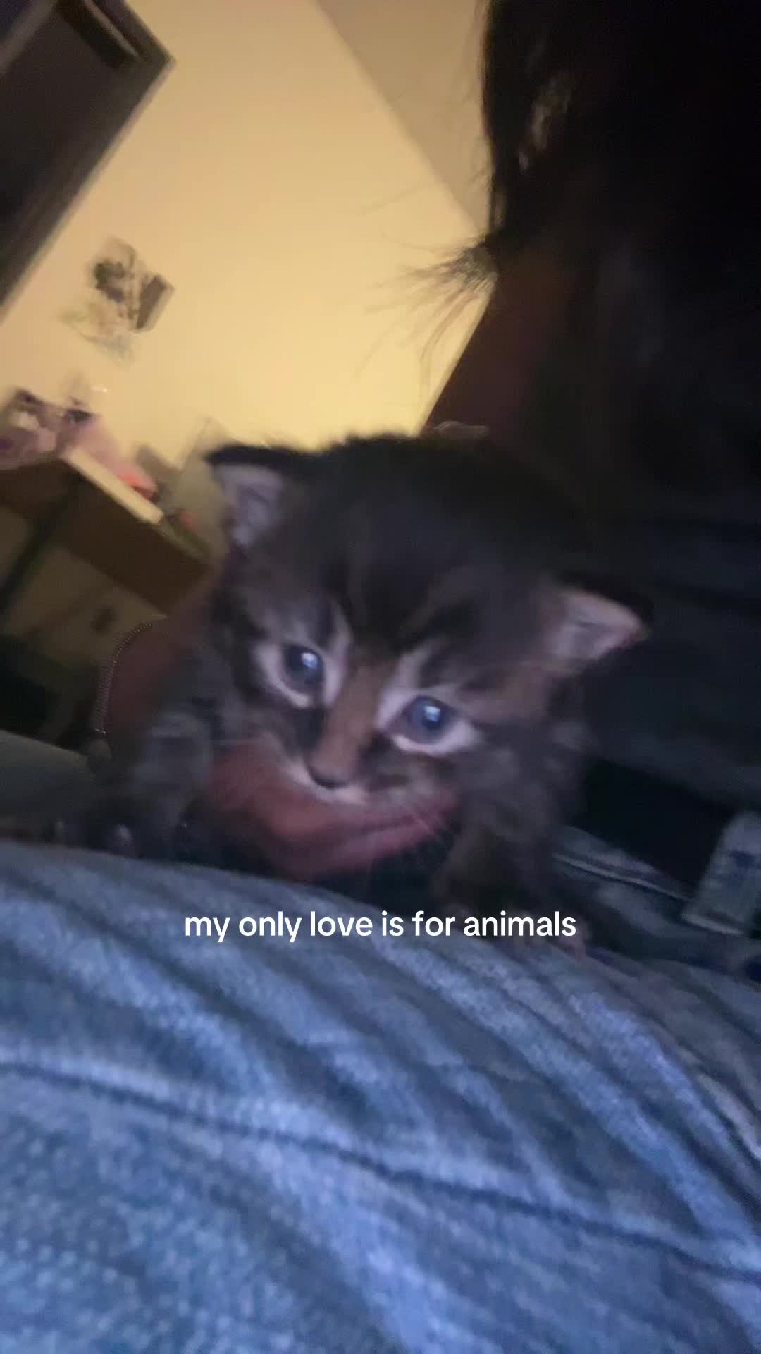 @𝓜𝐀𝐍𝐎𝐍 𝓖𝐑𝐄𝐘 𐙚