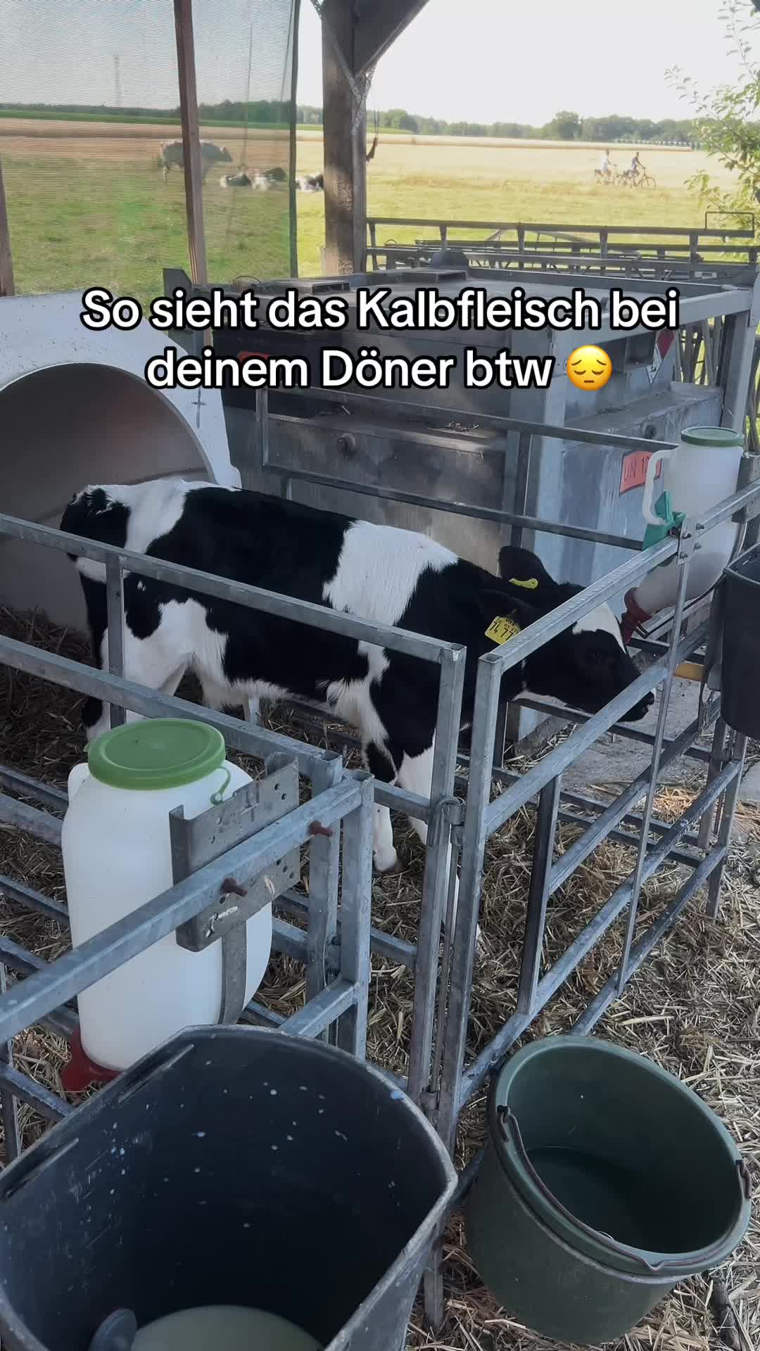 @derbalkanese