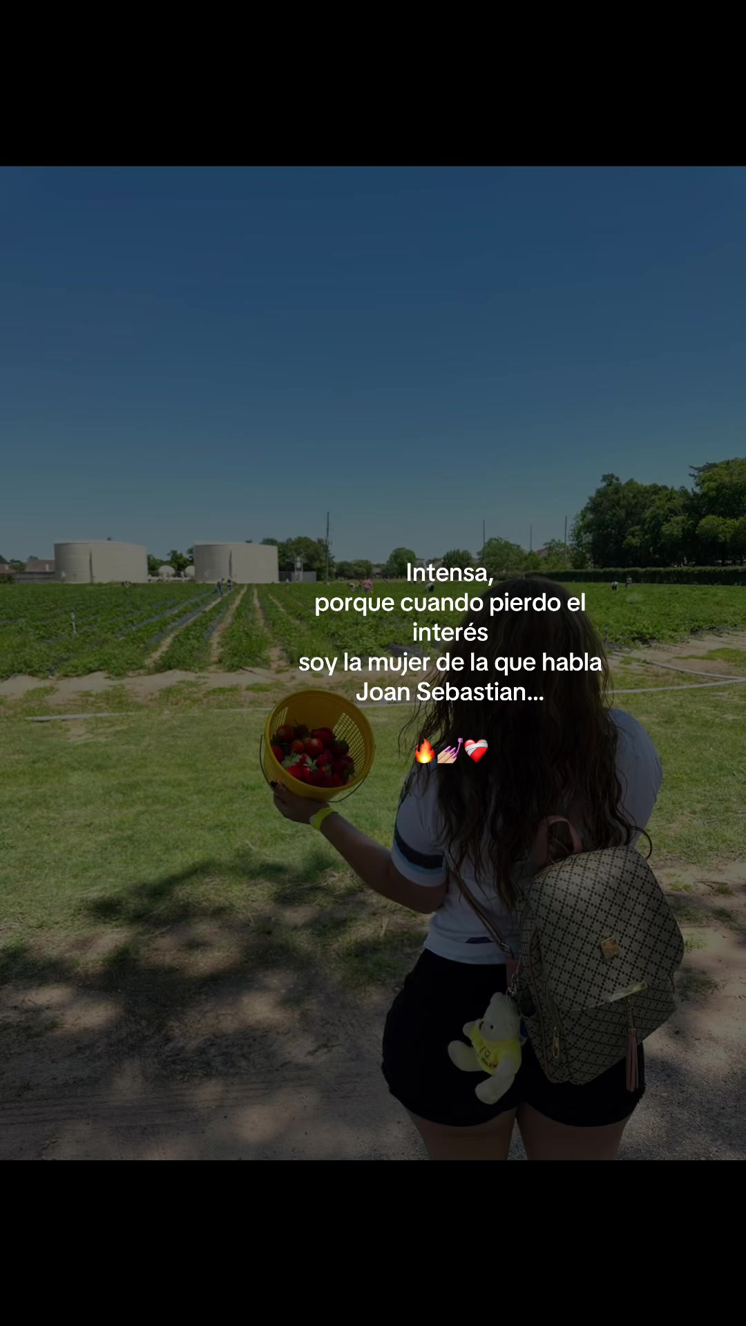 @502nanis