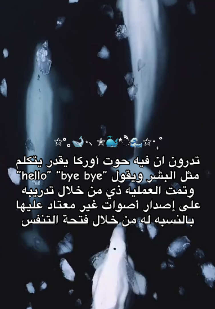 @Sh|شَ 🌊🪷࿐ ౨ৎ ⋆ ｡˚