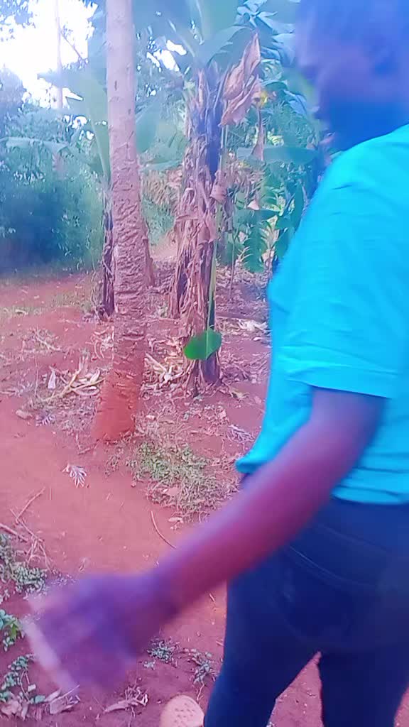 @celestineAkinyi