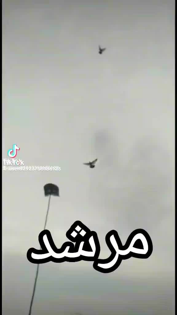 @مرشد