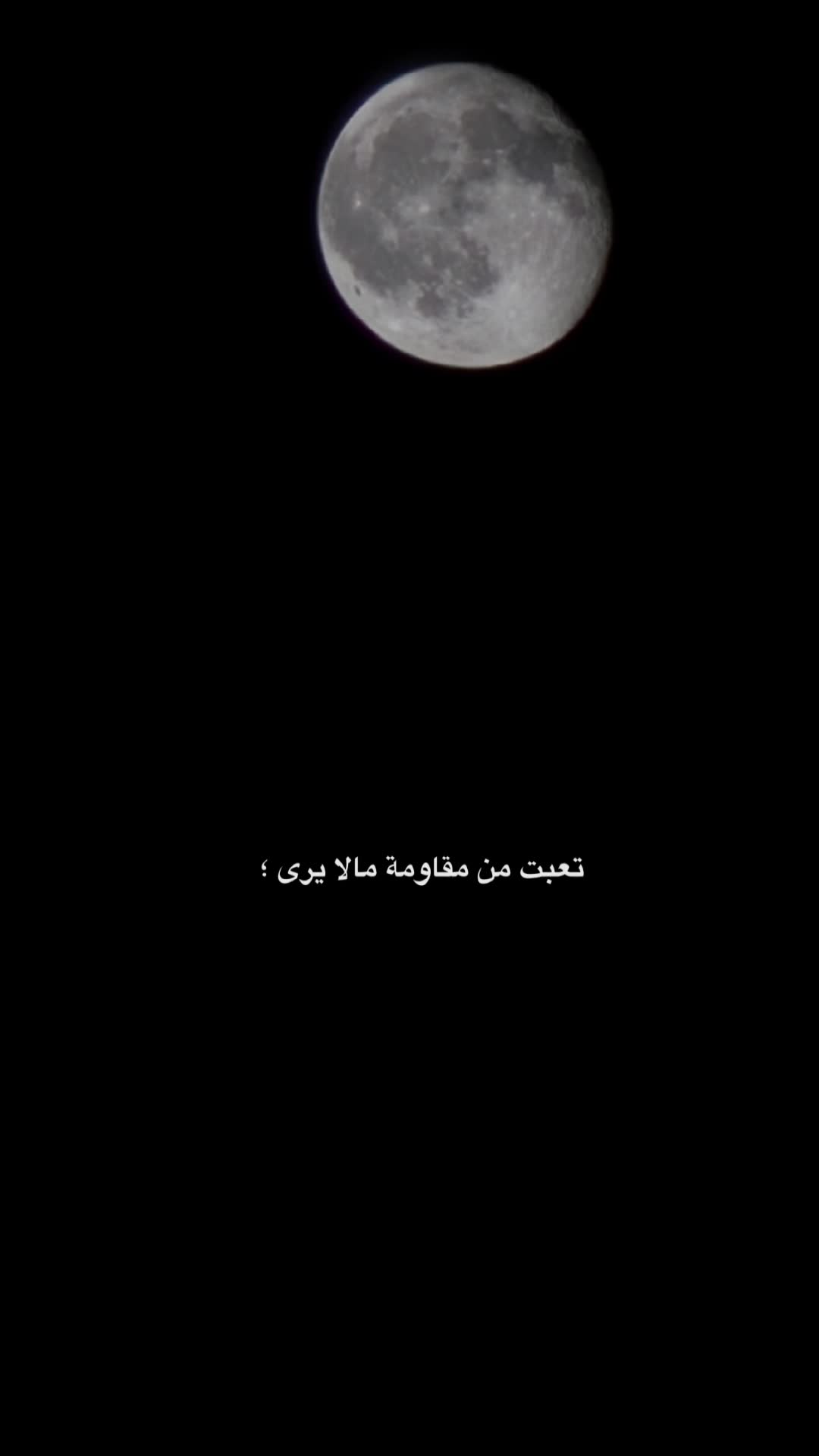 @Zizi تونس 💯
