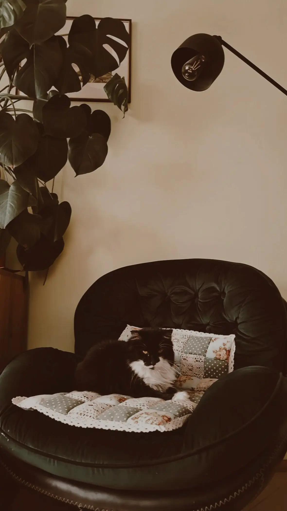 @𝐳𝐮𝐳𝐚𝐧𝐧𝐚&rsquo;.𝐥𝐩