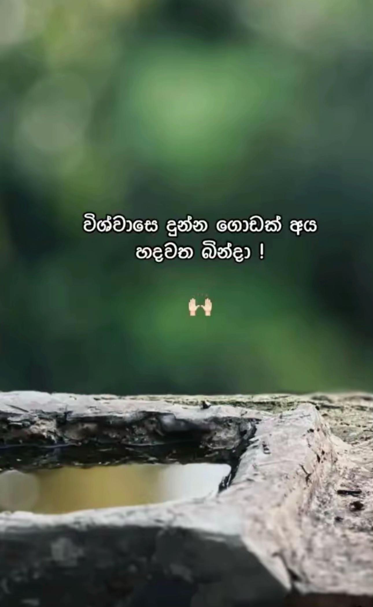 @kushiya  🪬
