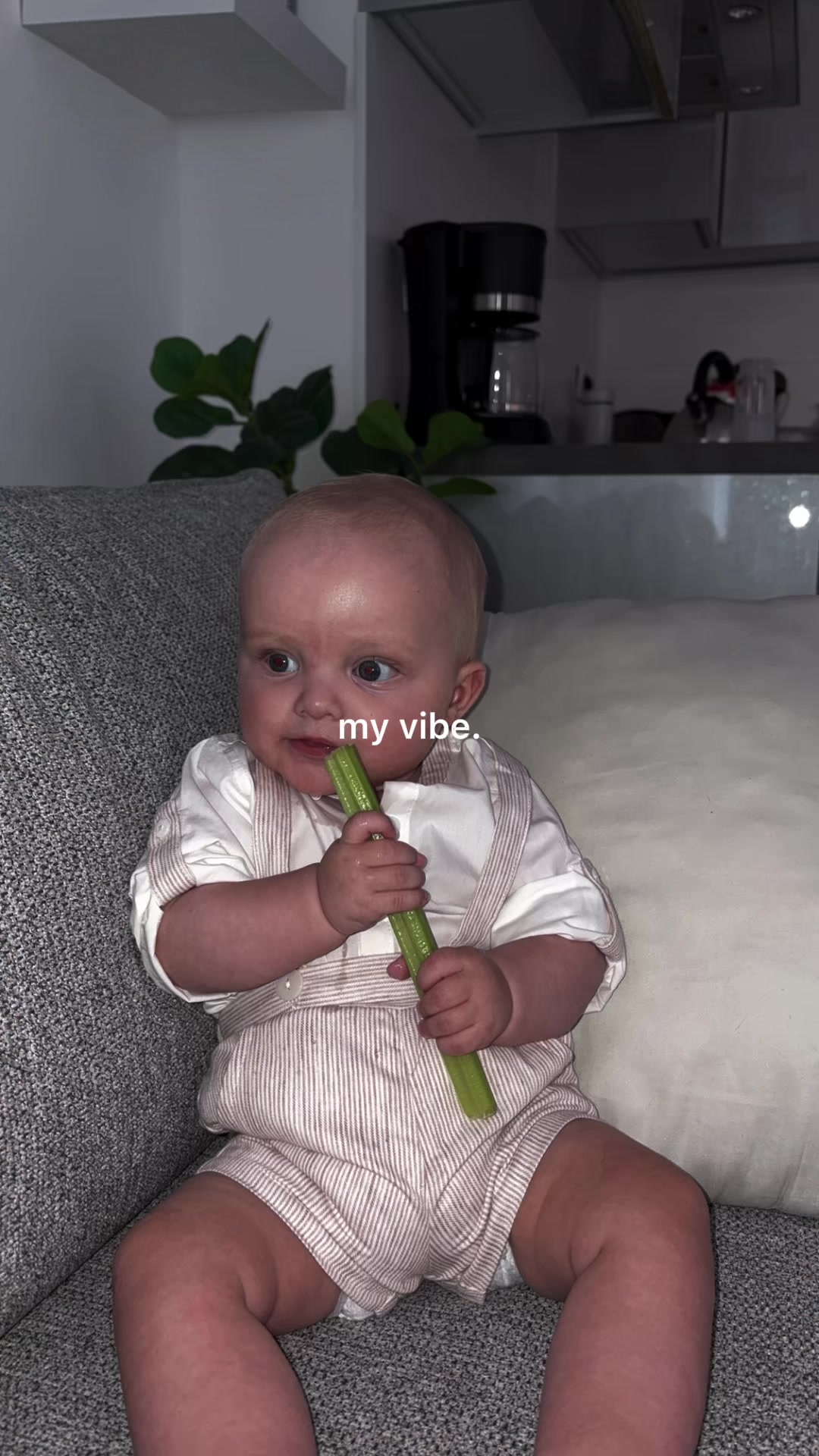 @Abbey Binnie