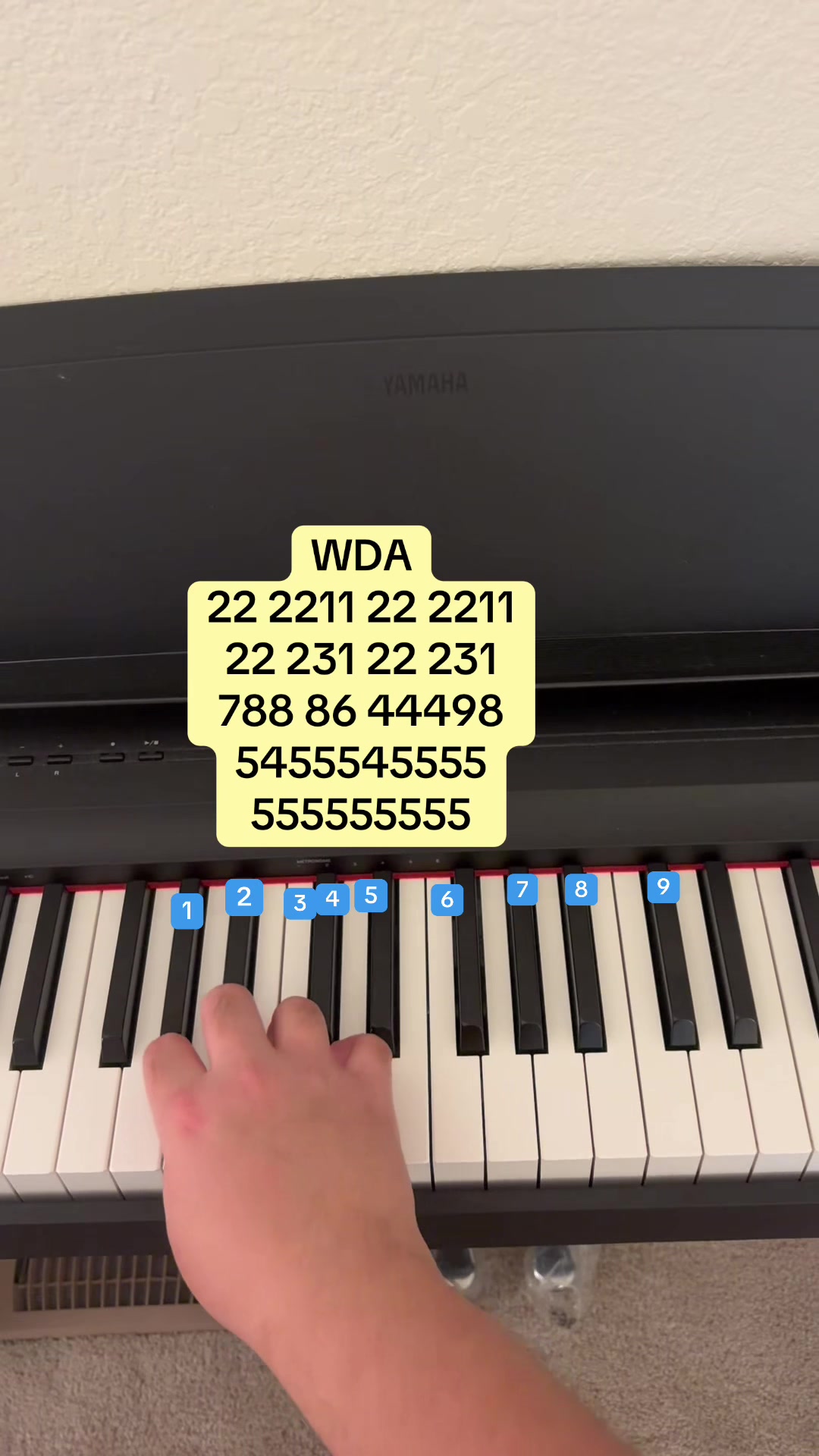 @Piano 🎹