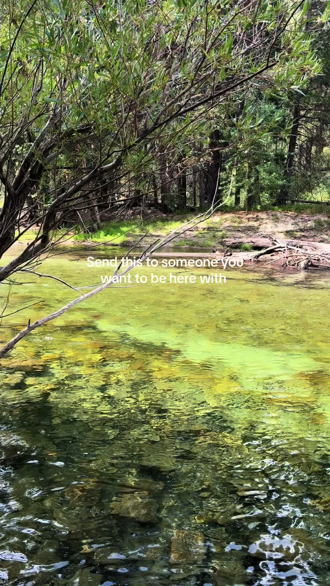 @Nature Lover 🌿✨🦋🌞🌻 🌙☁️🍄