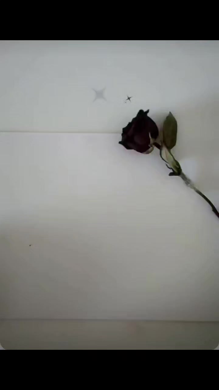 @Sessizlik