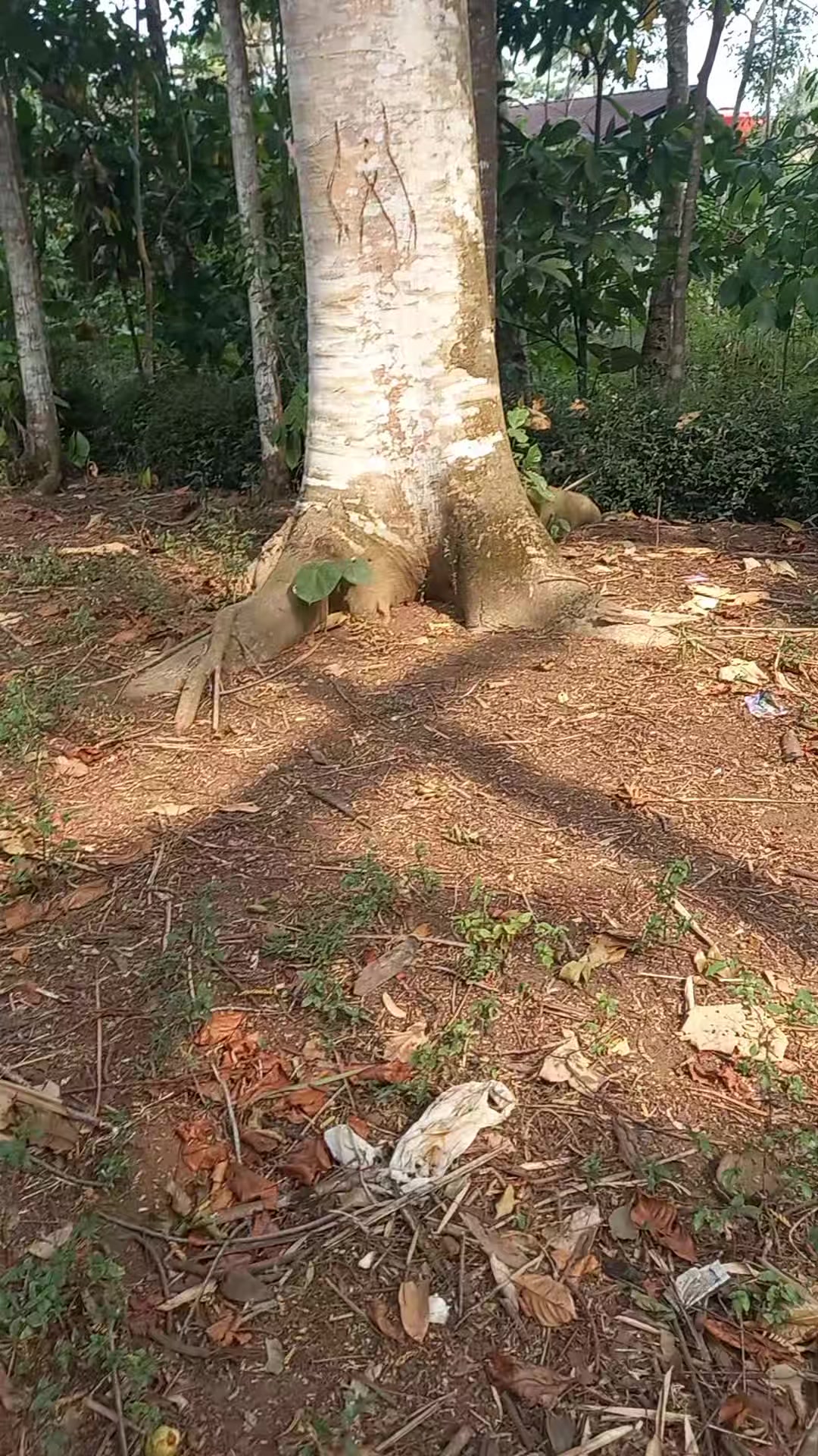 @nandriyanto0