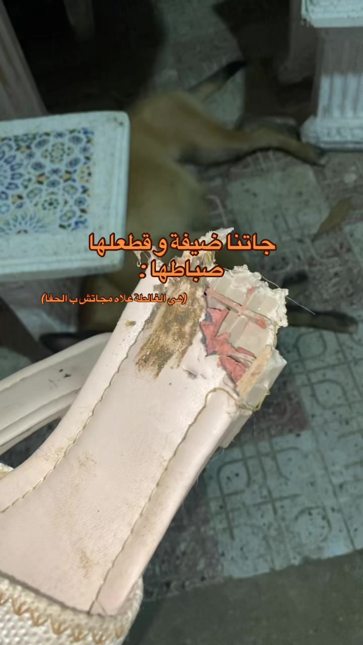 @WIEM|وئام🐝