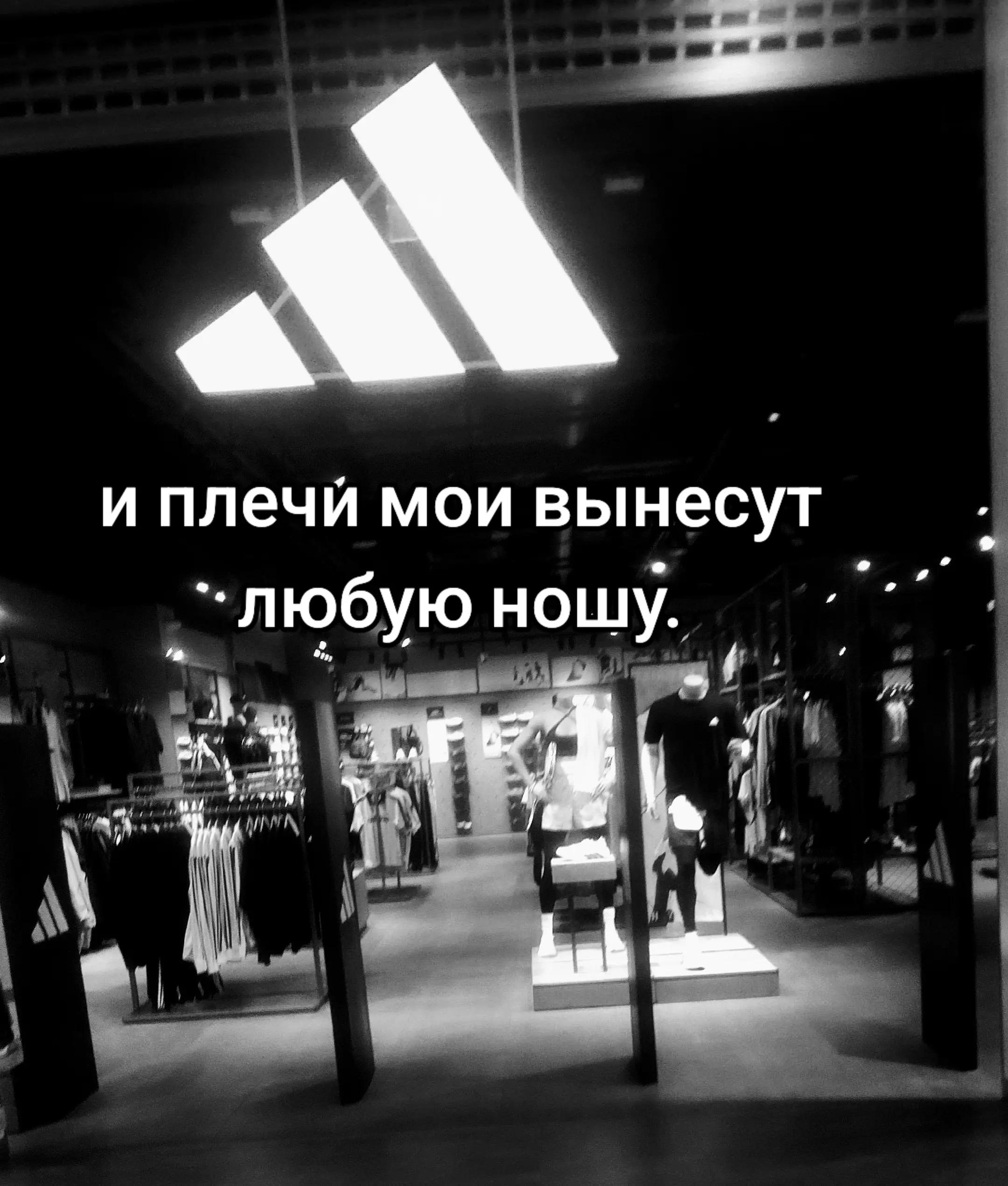 @b.a.n.d.i.t.☠️🥷💱