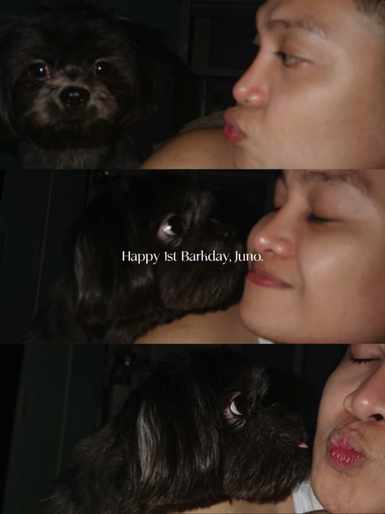 @Daryl Dionglay | Sniffs
