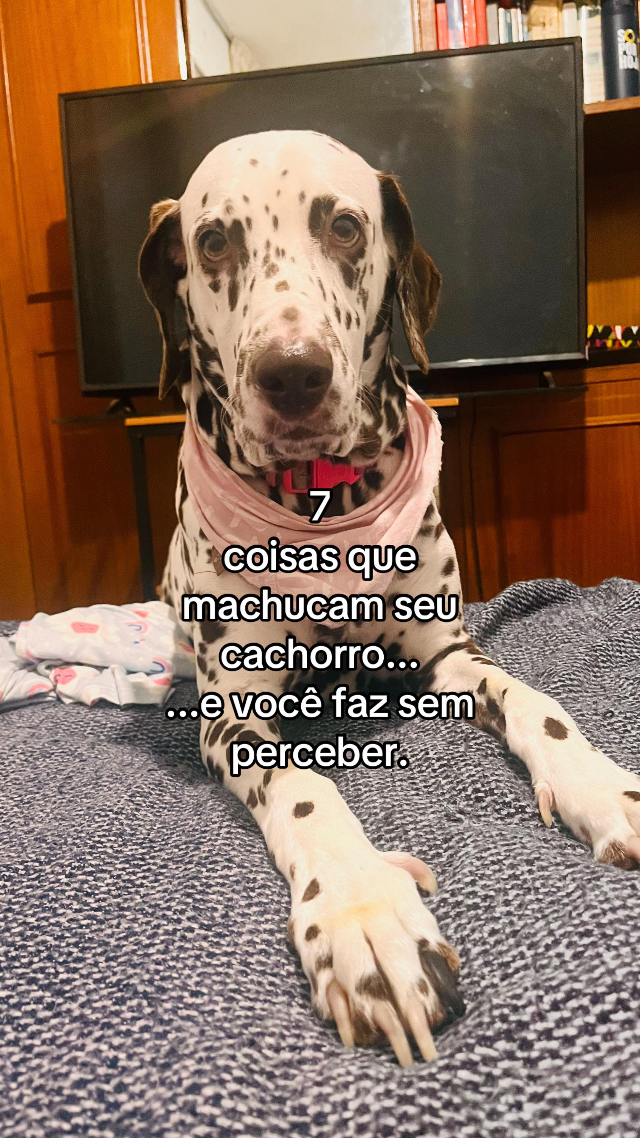 @Marg&ocirc; e Jude