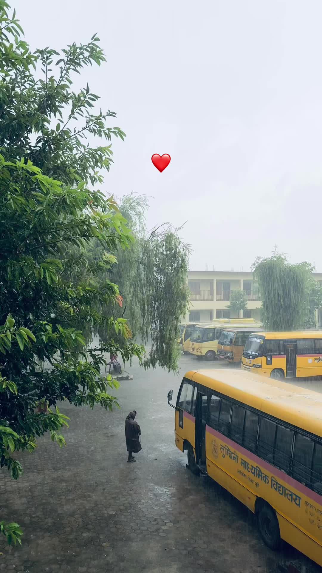 @Lumbini School/College