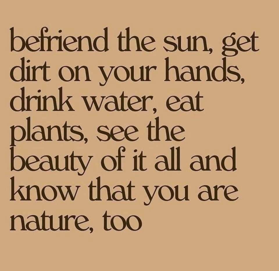 @🌴🥭✌🏾🌿Soil&Soul☀️✨🌻🌿