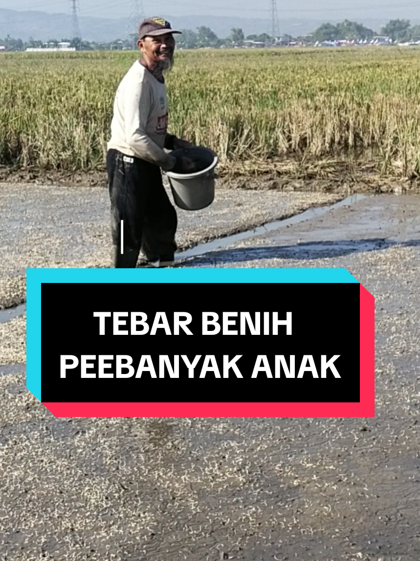 @PPL KOTAMAKMUR