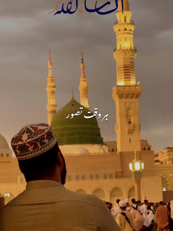 @𝙈𝘼𝙅𝙄𝘿 𝙒𝙍𝙄𝙏𝙀𝙎 ✨