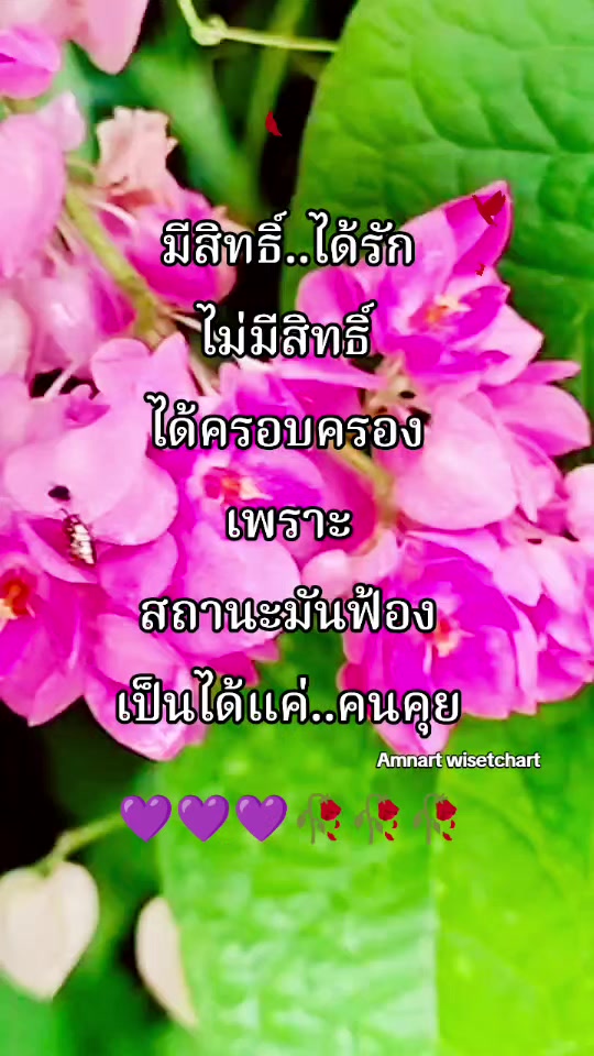 @Amnart wisetchart