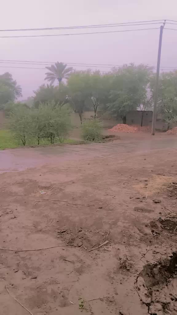 @Saba Khan105