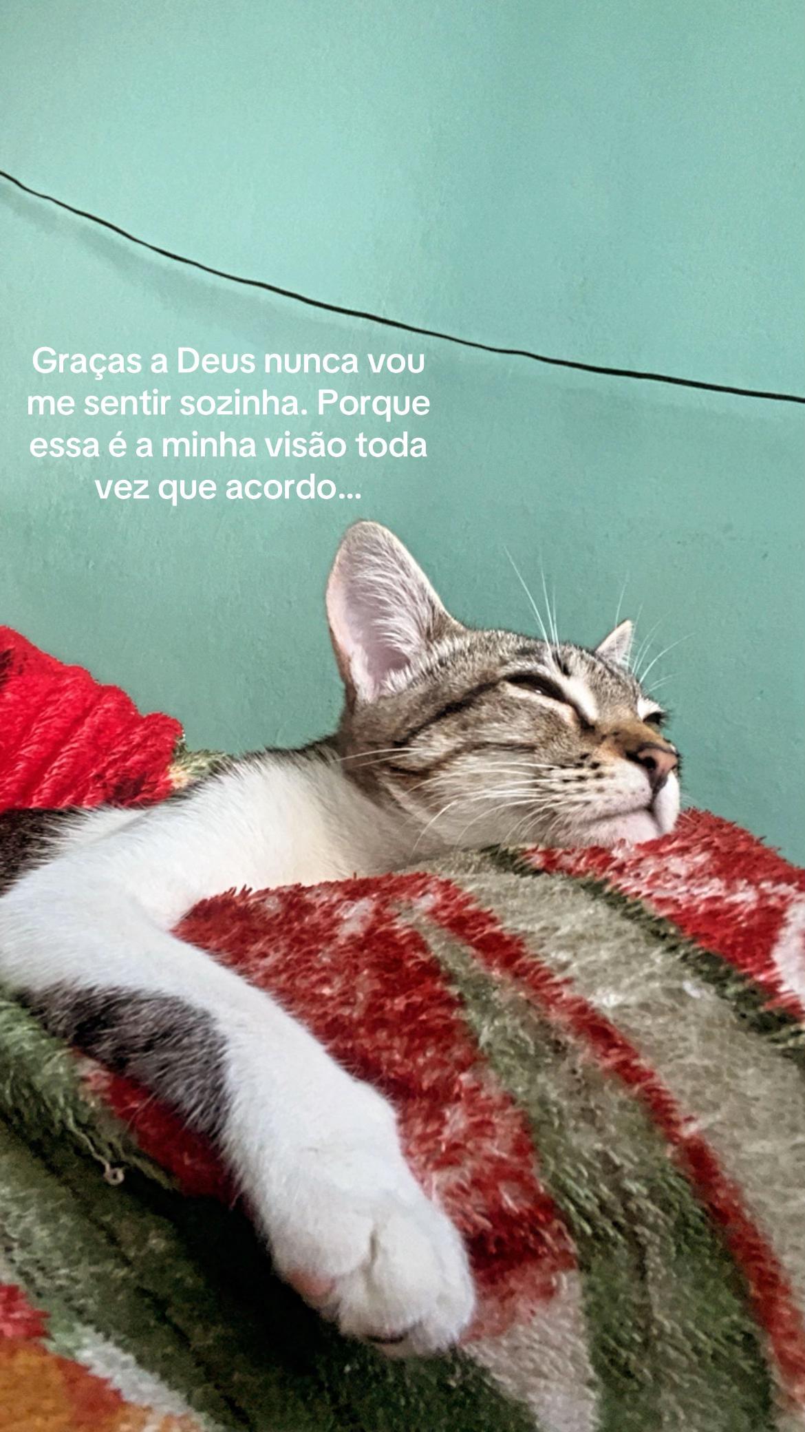 @Thaisinha ✨