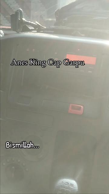 @Anes_King_cap_garpu