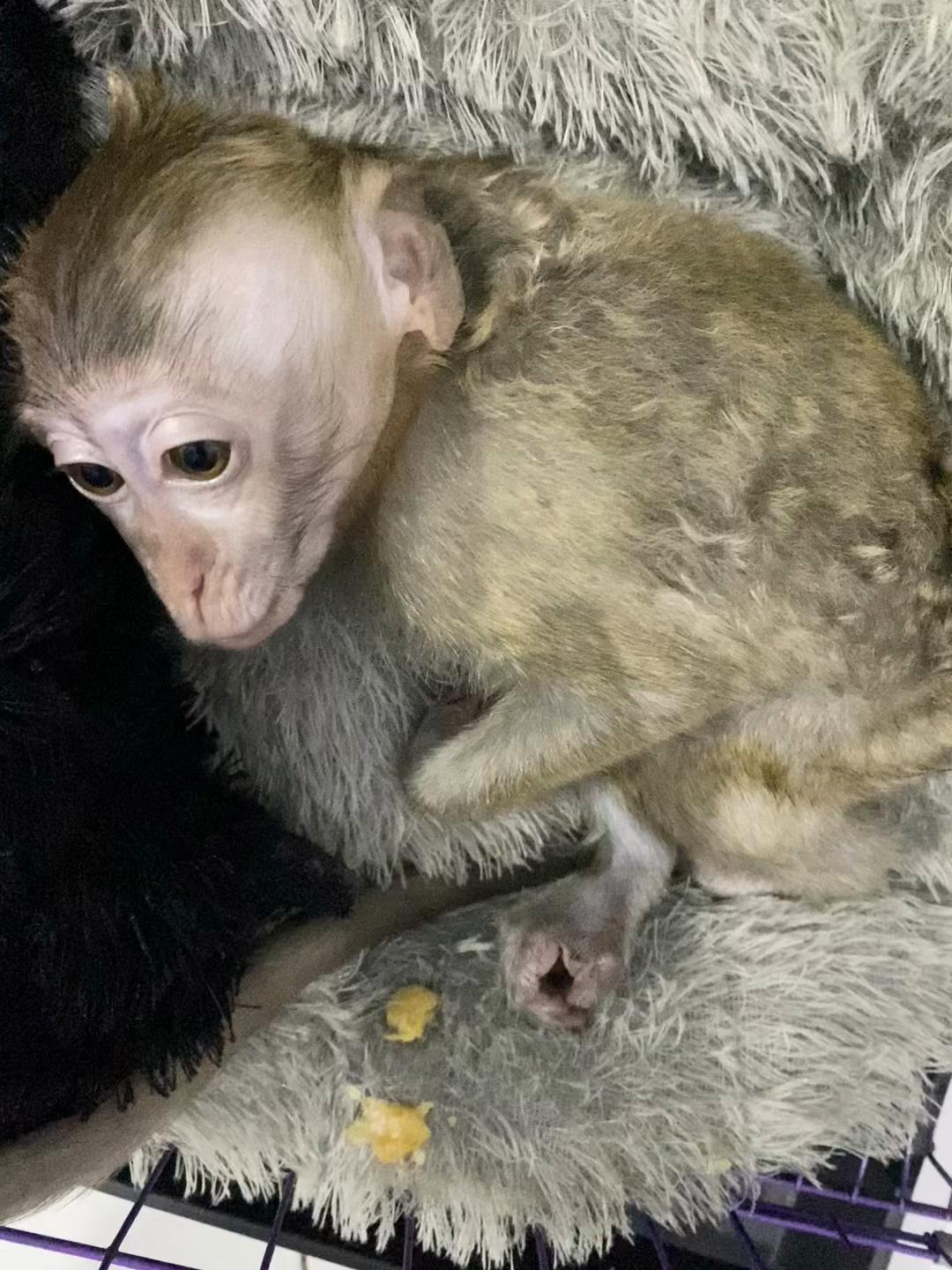 @Michelle🐒