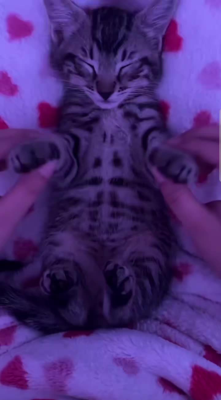 @spamm_sofia✨️