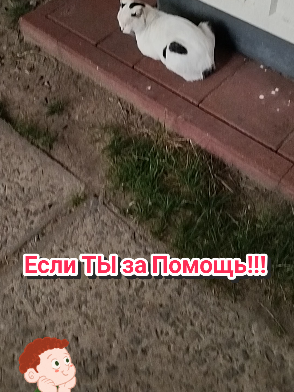 @IRINA
