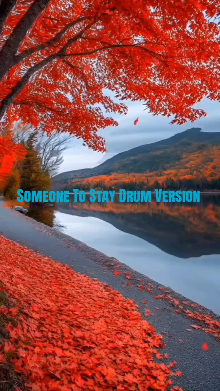 @Mr TikTok