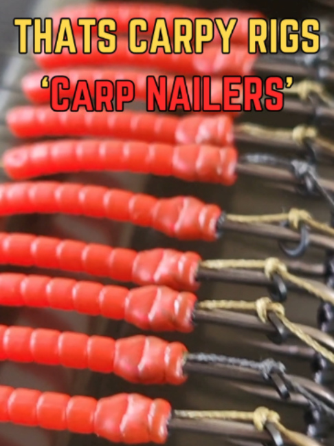 @Thats Carpy Rigs