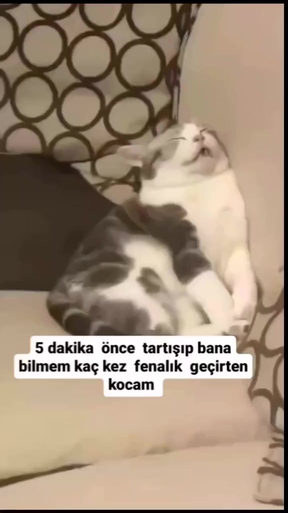 @Yumor_Time95