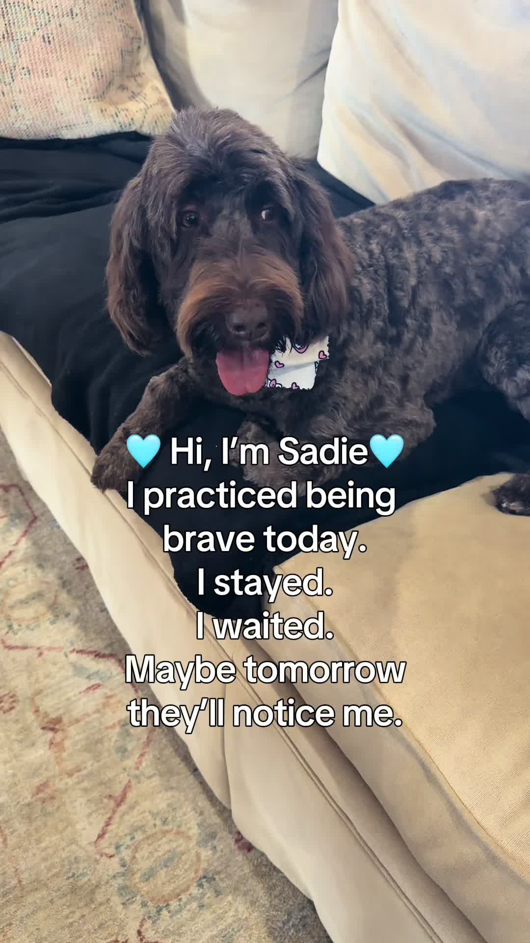 @Sadie the Doodle