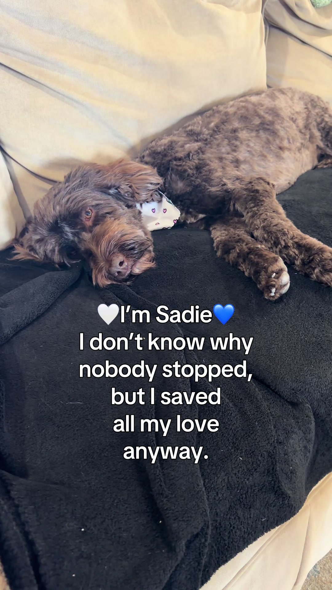 @Sadie the Doodle