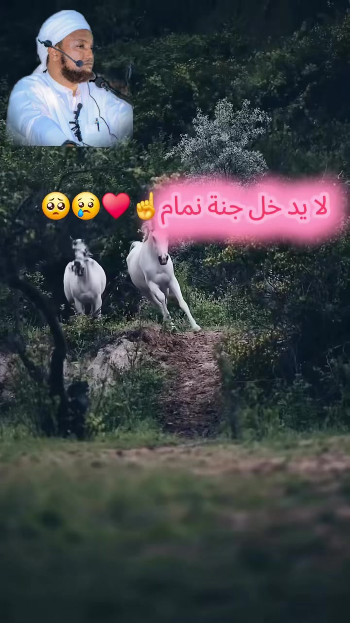 @Queen Abdullah