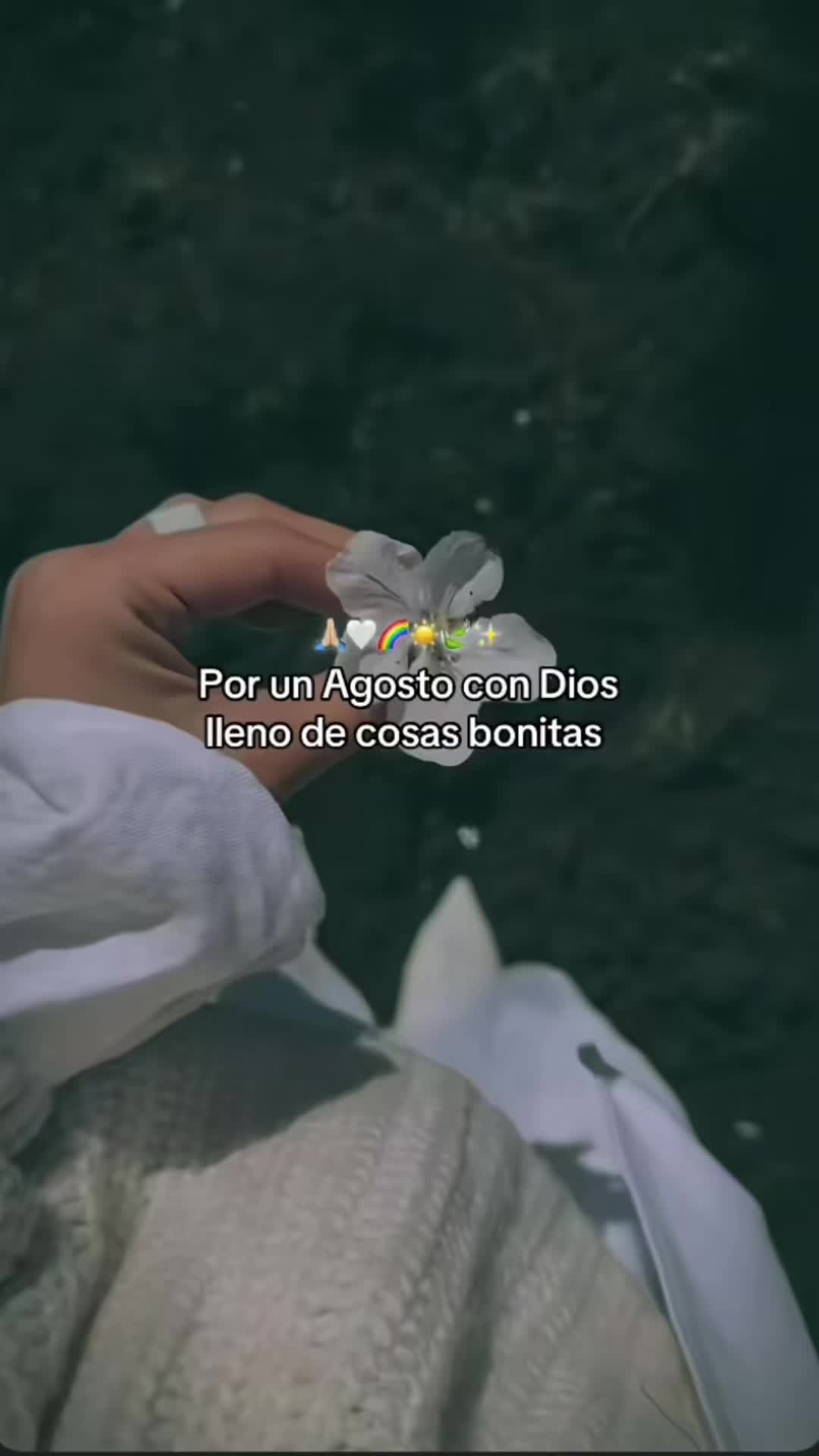 @🦋MI AMOR 🏝️