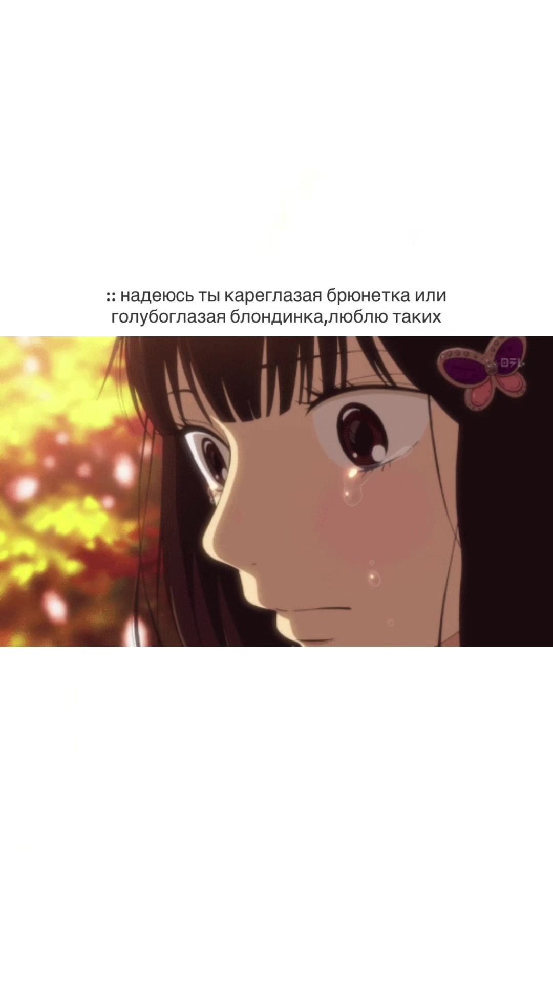 @ྀིྀི アセチカ . ꨄ