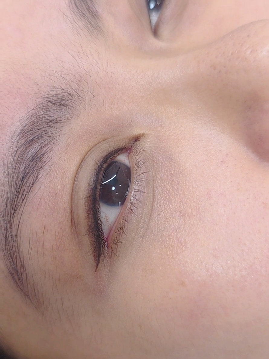 @Lebellbrow Studio