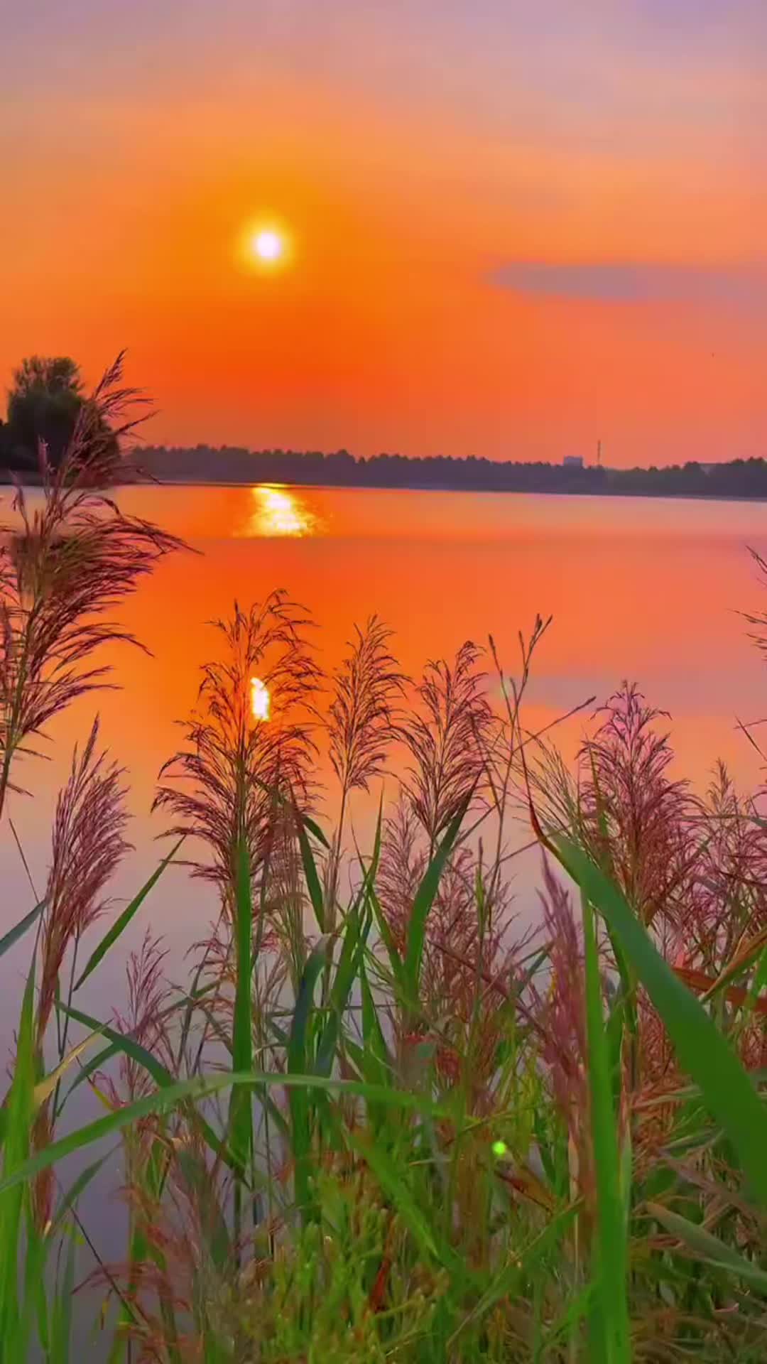 @Zarah1865